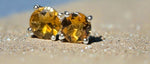 Load image into Gallery viewer, Citrine Studs -the Stone of the sun
